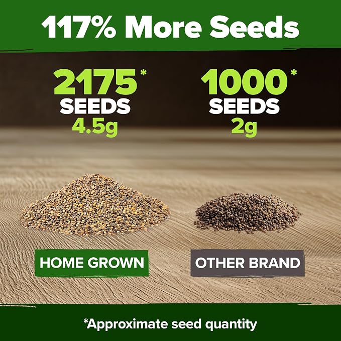HOME GROWN Arugula Roquette Seeds 2,175+ Heirloom Non-GMO Seeds for Planting, High Germination, Fast Growing Peppery Salad Greens, Indoor Outdoor Hydroponic Garden, Microgreens (Eruca vesicaria)