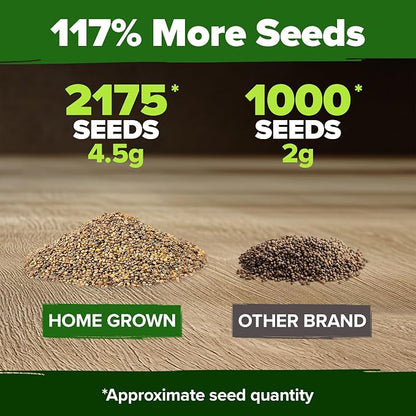 HOME GROWN Arugula Roquette Seeds 2,175+ Heirloom Non-GMO Seeds for Planting, High Germination, Fast Growing Peppery Salad Greens, Indoor Outdoor Hydroponic Garden, Microgreens (Eruca vesicaria)
