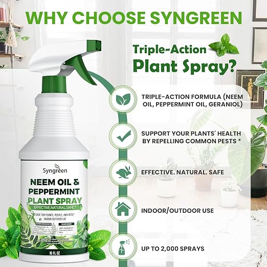 Neem Oil Spray for Plants with Peppermint Oil– Gentle Leaf Maintenance for Indoor and Outdoor Greenery, 16oz
