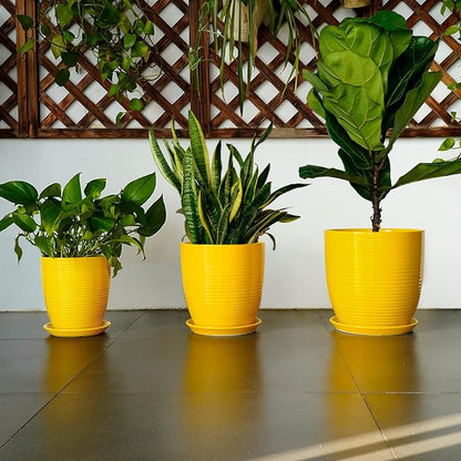 10 Inch Plant Pot - Ceramic Pot for Plants Outdoor Planter for Indoor Plants Large Plant Pot with Drainage Hole and Saucer Round Flower Pot for Home Patio Office Yellow