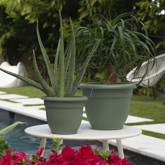 Bloem Ariana 8" Plastic Self-Watering Planter, Basil, 4-Pack | Self-watering disk at the bottom of each pot that acts as a water wick and reservoir for optimal plant health