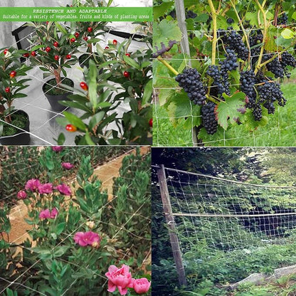 BaseGoal All-Weather Trellis Netting Mesh Plant Garden Vine Growing Flexible String Net (6" Mesh ployester, 5' Wx 15'L)
