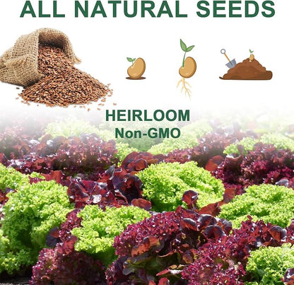 Lettuce Seed Pod Kit, Romaine, Butter Head, Red Sail, Red&Green Leaf, Red Sail Lettuce, Grow Anything Seed Pod Kit Compatible with All Indoor Hydroponics (8-Pod)