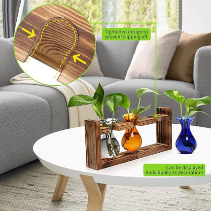 Plant Propagation Station Plant Terrarium Unique Birthday Gifts for Women | Plant Lovers Home Office Decor Planter with Wooden Stand - 3 Bulb Glass Vase