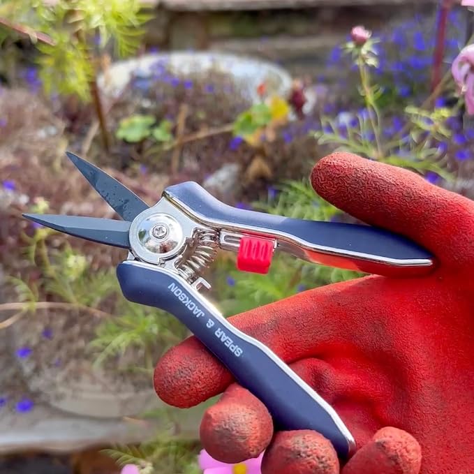 Spear & Jackson Razorsharp Mini Pruner Set for Small Garden Tasks and Bonsai Care, 2 Piece Precision Compact Lightweight Ergonomic Pruning Shears