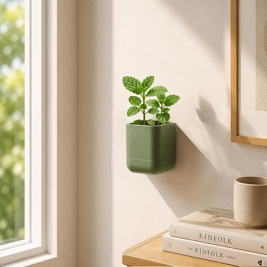 Phoenix Vine 3.5 Inch Wall Mounted Self-Watering Planter Pot for Indoor Houseplants and Herbs | Hanging Planter for Window Sills, Bathroom Walls, Home & Office Décor, Olive, Set of 2, 01-A-F-2