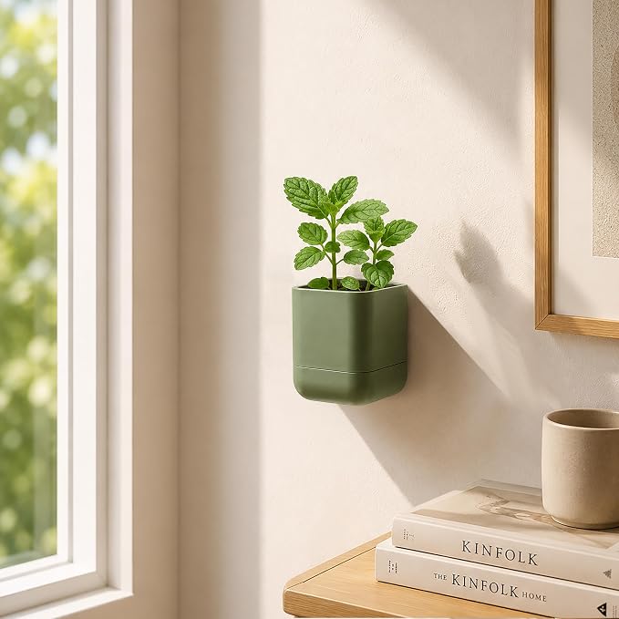 Phoenix Vine 3.5 Inch Wall Mounted Self-Watering Planter Pot for Indoor Houseplants and Herbs | Hanging Planter for Window Sills, Bathroom Walls, Home & Office Décor, Olive, Set of 3, 01-A-F-3