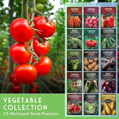 Vegetable Garden Seed Vault for Planting – 15 Pack Collection | Heirloom Non-GMO Family Garden Kit – Tomato, Lettuce, Cucumber, Squash – Indoor or Outdoor Growing – Survival Garden Seeds