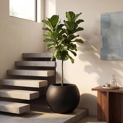 13.5 H x 17" Dia (12" Pot Opening) Black Round Fiberstone Planter with Drainage Hole, Indoor/Outdoor Large Plant Pot for Home Patio Garden, Ideal for Large Plants