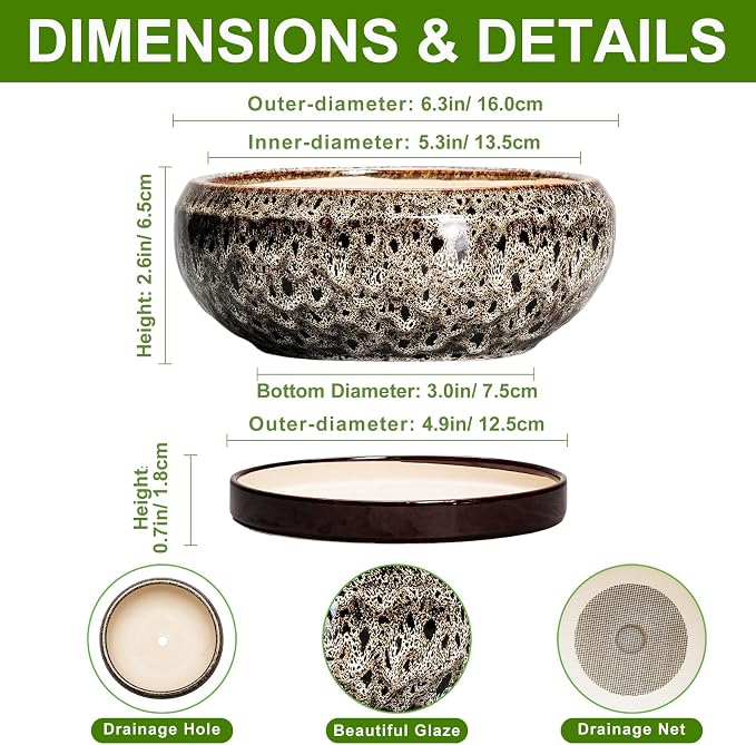 Succulent Planter 6 Inch - Ceramic Bonsai Pots with Drainage Hole and Tray, Shallow Plant Pot Indoor Outdoor, Cactus Succulent Pot, Round Bonsai Planter, Home Decor, Plant Lover Gift, White