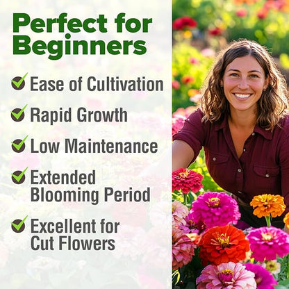HOME GROWN Zinnia Seeds for 2026 - California Giant Mix - 14,600+ (4 oz) Plant Wildflower Blooms Bulk Seeds for Planting Flowers Outside - Pollinator Gardens (Zinnia elegans)
