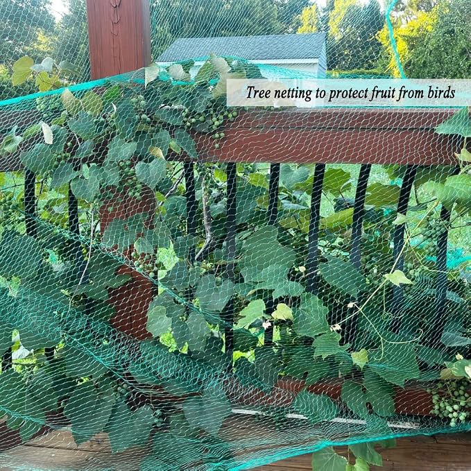 Bird Netting for Garden 6.5X50 FT, 1/4 Inch Mesh, Protect Blueberry, Strawberry, Tomatos, Vegetables. Fruit Tree Netting for Cicadas Against Deers, Squirrels, Bunnies, and Small Critters.