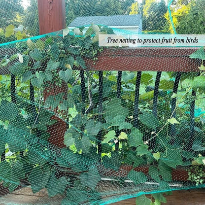 Bird Netting for Garden 6.5X50 FT, 1/4 Inch Mesh, Protect Blueberry, Strawberry, Tomatos, Vegetables. Fruit Tree Netting for Cicadas Against Deers, Squirrels, Bunnies, and Small Critters.
