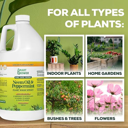 Neem Oil Spray for Plants with Peppermint Oil, Natural Plant Wash Made for Indoor and Outdoor Plants Smart Grower 128oz Gallon Refill Ready to Use Spray