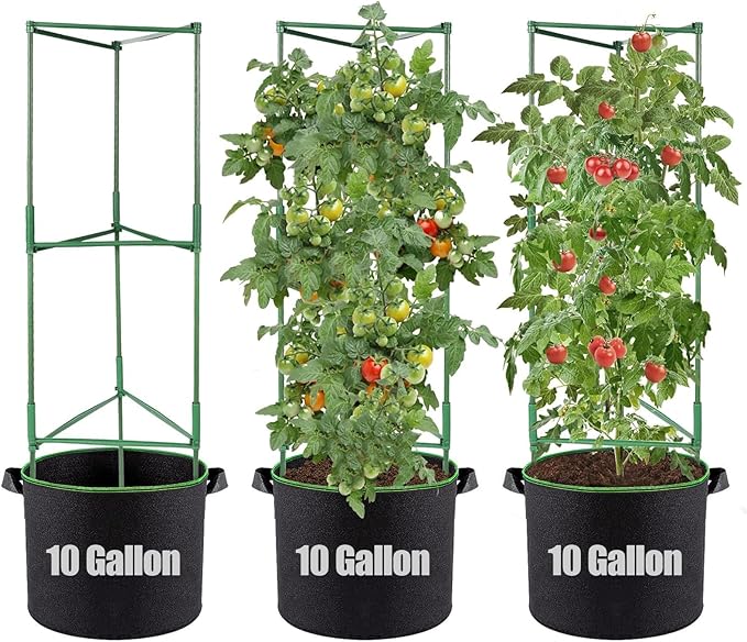 ANPHSIN Sturdy Triangle Tomato Cage with Movable 10 Gal Grow Bags - 3 Sets 47'' Plants Garden Trellis Planters, Support for Indoor Outdoor Beans, Peppers, Eggplants, Climbing Vegetables