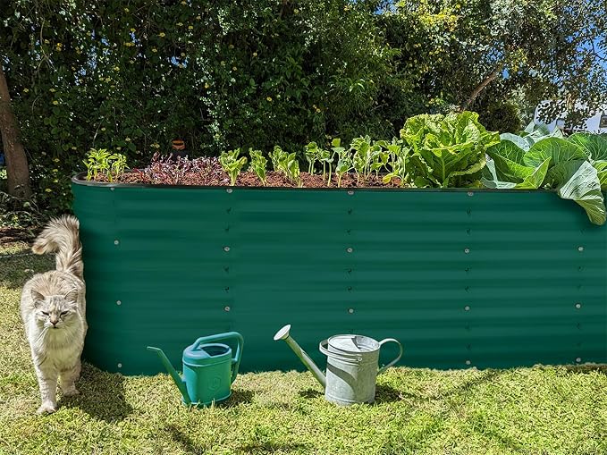 Plant & Plot Galvanized Raised Garden Beds Outdoor // 8×2×2 ft Planter Raised Beds for Gardening, Vegetables, Flowers // Large Metal Garden Box (Dark Green) // Patented Tool-Free Design