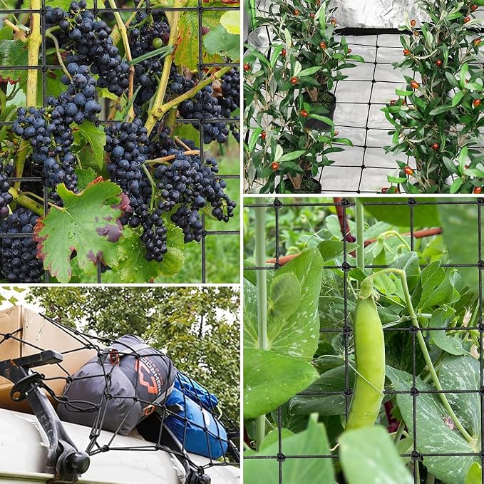 4 x 4 Ft Elastic Plant Trellis Net - 2-Pack Heavy Duty Garden Support Net with 4 Hooks for Grow Tents, Climbing Vegetables, Fruits & Flowers (Black)