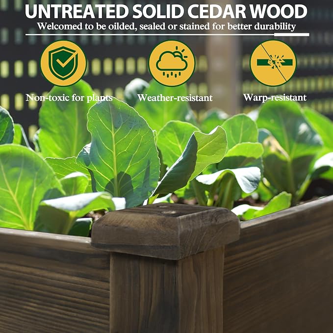 BlueWish 72''L x 23''W x 30''H Outdoor Cedar Garden Bed, 2x6 FT Raised Garden Bed with 8 Drainage Holes & 6 Legs, Elevated Planter Boxes for Gardening, Vegetable, Flower, 661lbs Capacity, Rustic