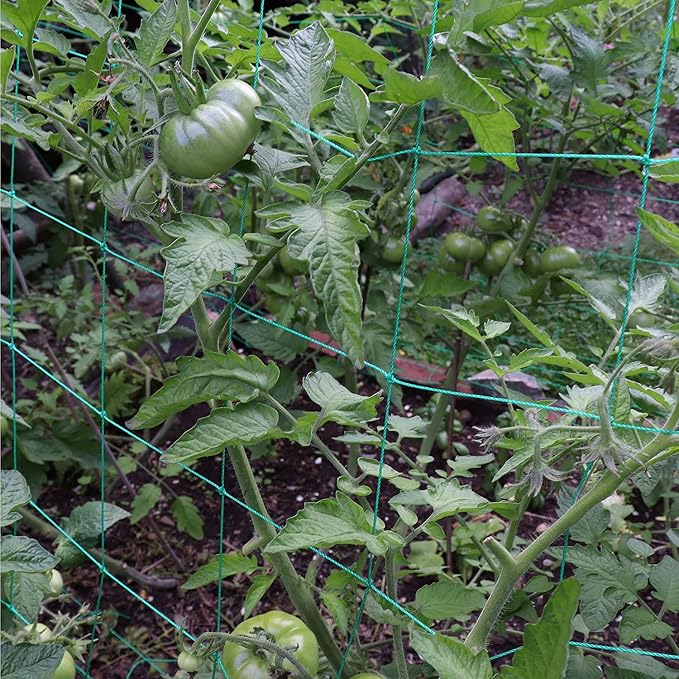 Trellis Netting for Climbing Plants - Heavy Duty Garden Trellis Netting for Cucumber, Vine, Fruits & Vegetables Tomato Plants Trellis Net, Climbing Vining Plants (1-Pack 8.2' x 6.6'Ft)