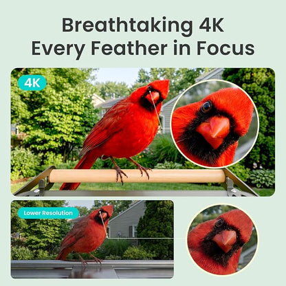 Birdfy Smart Bird Feeder with Camera, 4K UHD Video, Dual-Band 2.4/5GHz Wi-Fi, Solar Powered, AI Identification Lifetime Free, Bird Watching Gift for Bird Lovers