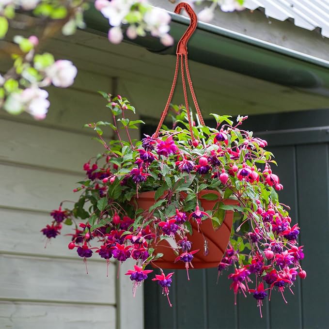 Tioncy 50 Pcs Plastic Hanging Planter Round Hanging Pot for Plants Containers with Hook Flower Plant Pots Holders for Outdoor Indoor Plant Balcony Garden Decor(Coffee,6.7inch)