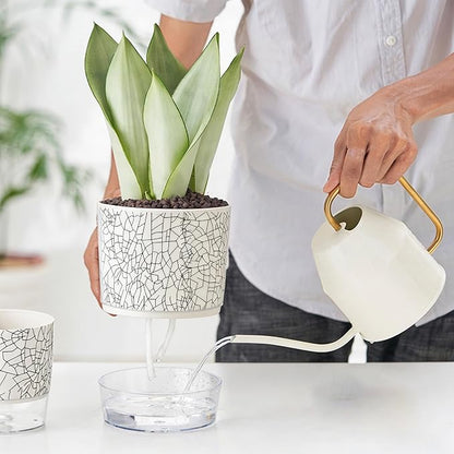 3 Pack 4.3+5.5+6.3 Inch Self Watering Pots Set, Self Watering Planter with Reservoir and Wick Rope for Indoor/Outdoor Plants, Modern Houseplants Pots for African Violets,Cactus,Herbs,Succulents