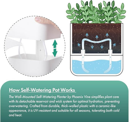 Phoenix Vine 3.5 Inch Wall Mounted Self-Watering Planter Pot for Indoor Houseplants and Herbs | Hanging Planter for Window Sills, Bathroom Walls, Home & Office Décor, White, Set of 3, 01-A-D-3
