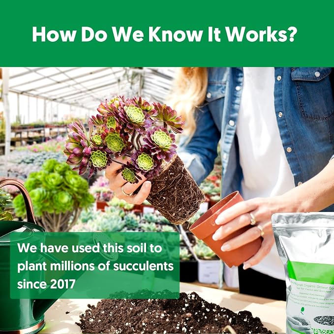 Succulent Cactus Potting Soil Mix (2 qt), All-Purpose Garden Potting Mix for Indoor Outdoor Plants, Quick Drain Houseplant Orchid Bonsai Perlite Soil, Ready-to-Use, Resealable Bag Design