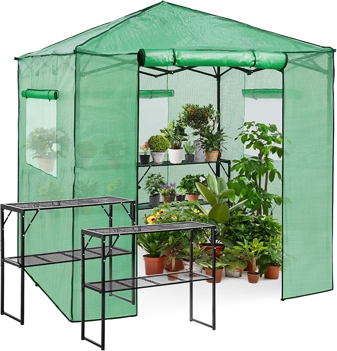 EAGLE PEAK 7x7 Portable Walk in Greenhouse, Pop Up Indoor Outdoor Greenhouse, Green House Kit with Zippered Roll-Up Doors and Windows + Mesh Lining & 2 Foldable Shelves, PE Cover, Clear/Green