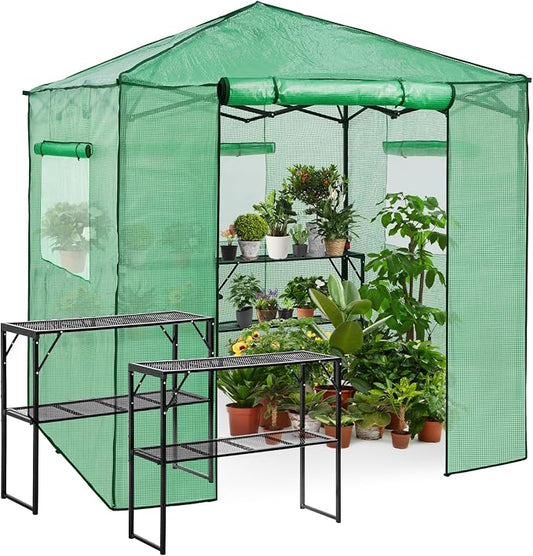 EAGLE PEAK 7x7 Portable Walk in Greenhouse, Pop Up Indoor Outdoor Greenhouse, Green House Kit with Zippered Roll-Up Doors and Windows + Mesh Lining & 2 Foldable Shelves, PE Cover, Clear/Green