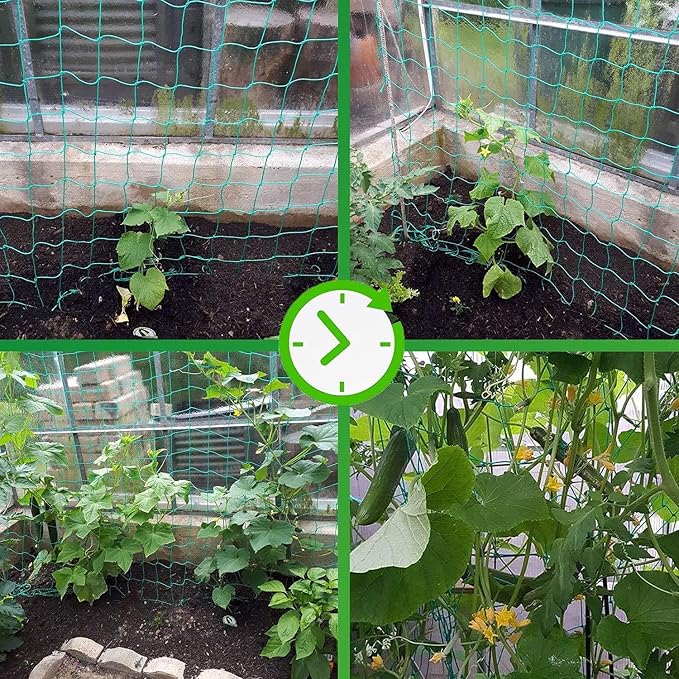 Trellis Netting for Climbing Plants - Heavy Duty Garden Trellis Netting for Cucumber, Vine, Fruits & Vegetables Tomato Plants Trellis Net, Climbing Vining Plants (2-Pack 8.2' x 6.6'Ft)