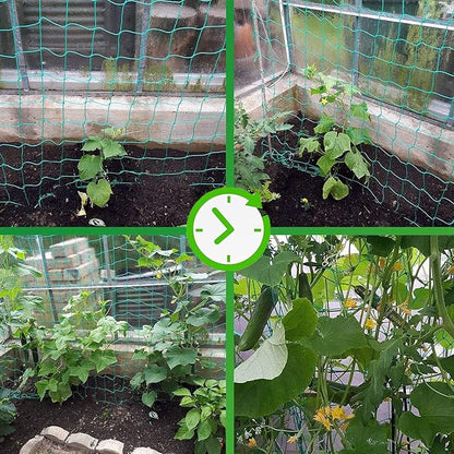 Trellis Netting for Climbing Plants - Heavy Duty Garden Trellis Netting for Cucumber, Vine, Fruits & Vegetables Tomato Plants Trellis Net, Climbing Vining Plants (2-Pack 8.2' x 6.6'Ft)