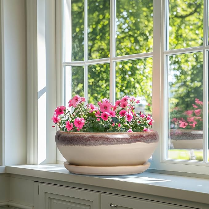 SQOWL Bonsai Pots 12 Inch - Large Ceramic Succulent Planters, Shallow Planter with Drainage Hole and Saucer, Round Bowl Planter for Indoor Outdoor Plants, Home Decor, Plant Lover Gifts, Beige