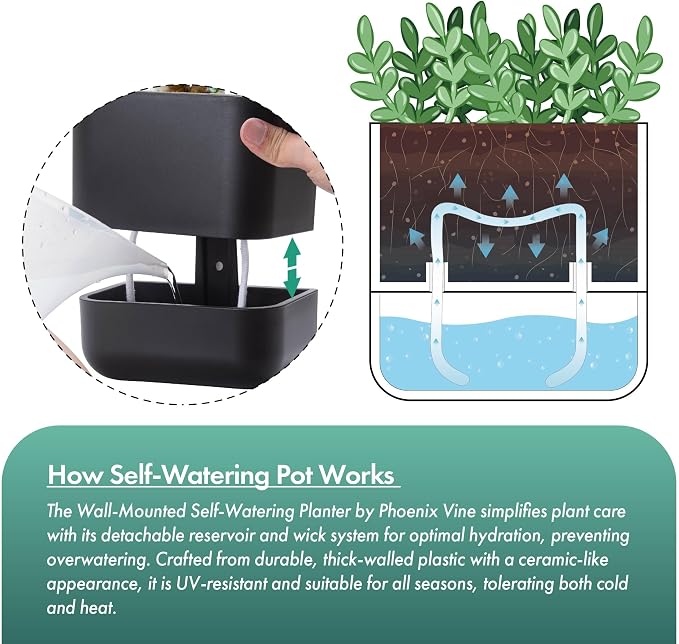 Phoenix Vine 3.5 Inch Wall Mounted Self-Watering Planter Pot for Indoor Houseplants and Herbs | Hanging Planter for Window Sills, Bathroom Walls, Home & Office Décor, Black, Set of 4, 01-A-E-4