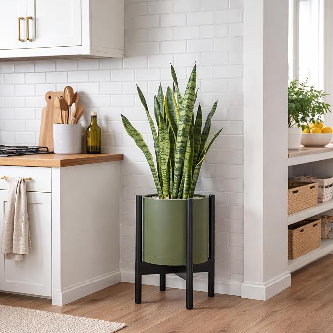 D'vine Dev Plastic Pot with Ebony Wood Stand, Olive, 10 in, 55-C-N-3 | Mid-Century Inspired Design, Elevated Plant Display, Clean Lines, Sturdy Support, Modern Space-Saving Style