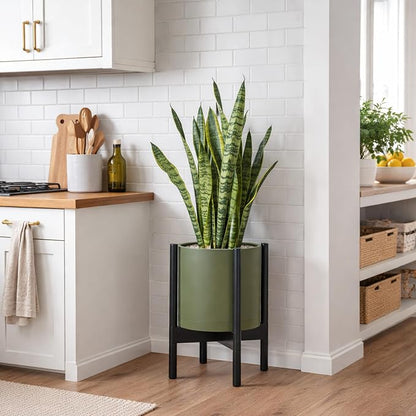 D'vine Dev Plastic Pot with Ebony Wood Stand, Olive, 10 in, 55-C-N-3 | Mid-Century Inspired Design, Elevated Plant Display, Clean Lines, Sturdy Support, Modern Space-Saving Style