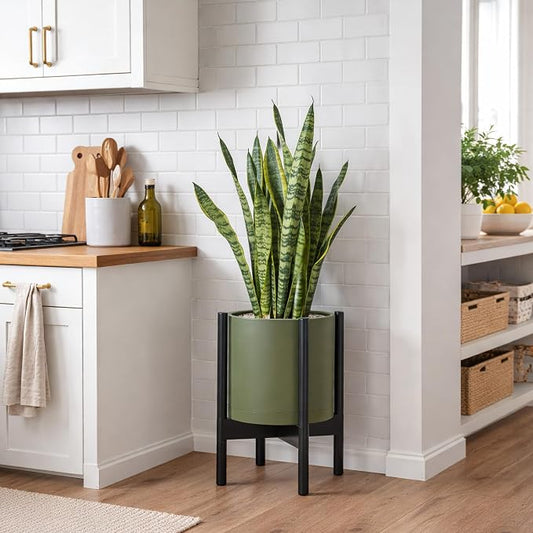 D'vine Dev Plastic Pot with Ebony Wood Stand, Olive, 10 in, 55-C-N-3 | Mid-Century Inspired Design, Elevated Plant Display, Clean Lines, Sturdy Support, Modern Space-Saving Style