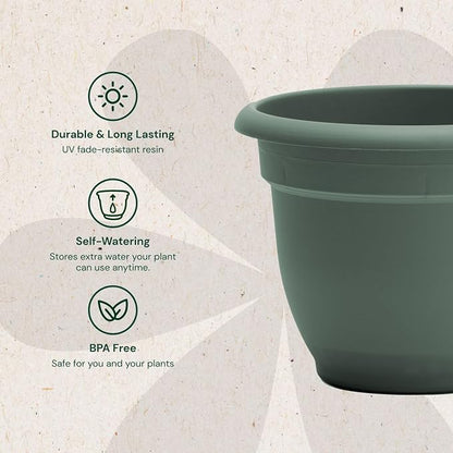 Bloem Ariana 12" Plastic Self-Watering Planter, Basil, 2-Pack | Self-watering disk at the bottom of each pot that acts as a water wick and reservoir for optimal plant health