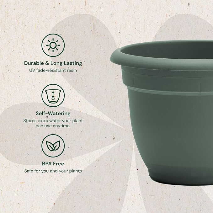 Bloem Ariana 16" Plastic Self-Watering Planter, Basil, 2-Pack | Self-watering disk at the bottom of each pot that acts as a water wick and reservoir for optimal plant health