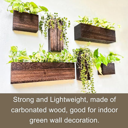 LaLaGreen Wood Planter Box for Plants (6 Pack) Wall Planters for Indoor | Wooden Box Indoor Plant Holder Vase for Dried Flowers, Modern Farmhouse Decor Living Room Bedroom Kitchen Office Home Garden