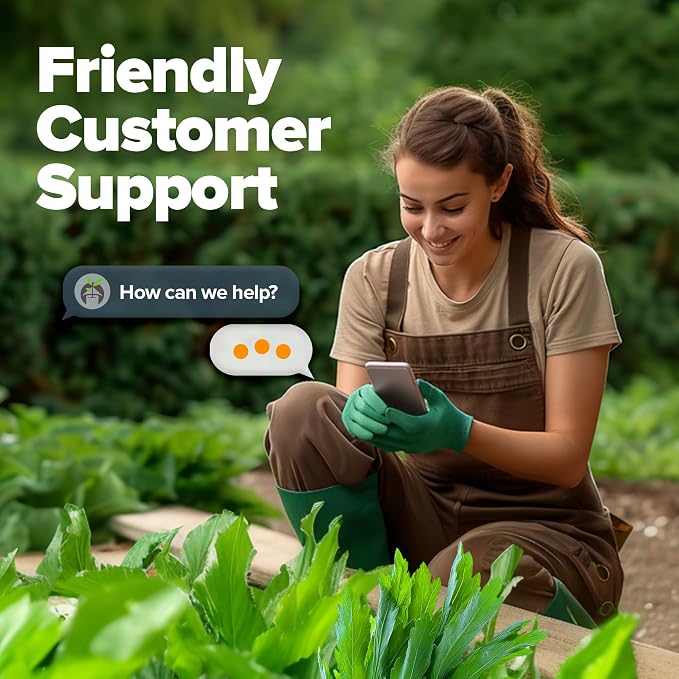 HOME GROWN Non GMO Culantro Seeds 360 Herb Seeds for Planting Non-GMO Heirloom Variety, Robust Flavor, Thrives in Heat, Grows Indoors or Outdoors, Cilantro Substitute (Eryngium Foetidum)