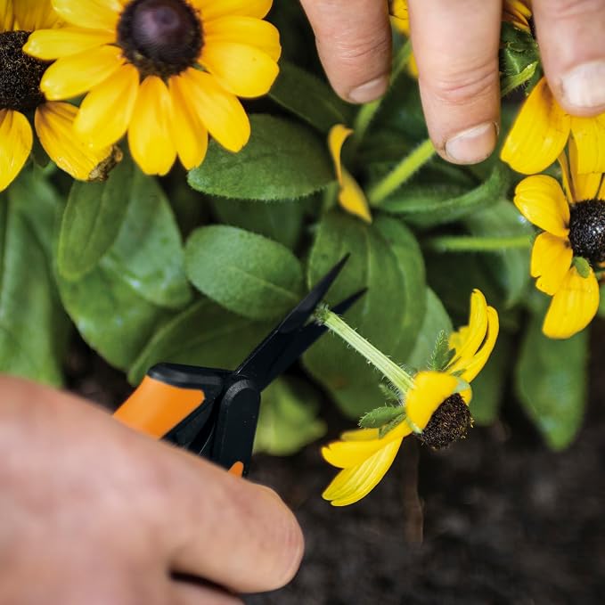 Fiskars 6" Pruning Scissors (2-Pack) for Flowers, Buds, Weeds and Small Plants, Garden Snips with Resin Resistant Nonstick Stainless Steel Blades, Gardening Trimmers with Comfortable Handle