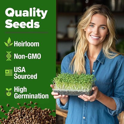 HOME GROWN Broccoli Seeds 8 oz Bulk Heirloom Non-GMO, High Germination, Sulforaphane Rich Sprouting Seeds, Nutritious Microgreens, Healthy Sprouts in 5 Days, Superfood Boost (Brassica oleracea)