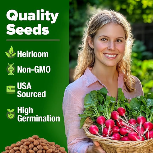 HOME GROWN Cherry Belle Radish Seeds 800+ Heirloom Non-GMO Seeds for Planting, High Germination, Fast Growing Red Radish, Harvest in 30 Days, Crisp & Mild Root Vegetable,Spring Fall (Raphanus sativus)