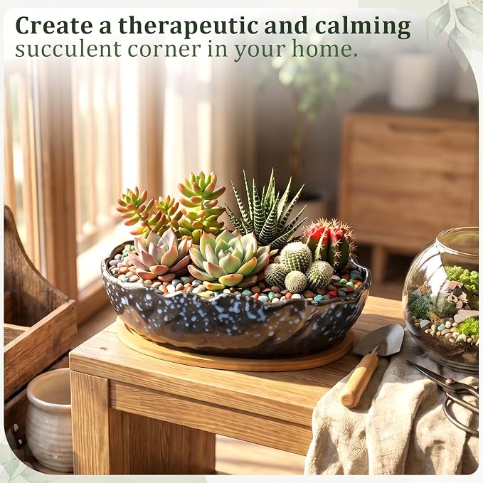 Succulent Pot 10 Inch Large Succulent Planters with Drainage Ceramic Bonsai Pot with Bamboo Tray Round Shallow Planter for Indoor Cactus Flower Planter Window Box for Home Garden Decor (Starry Blue)
