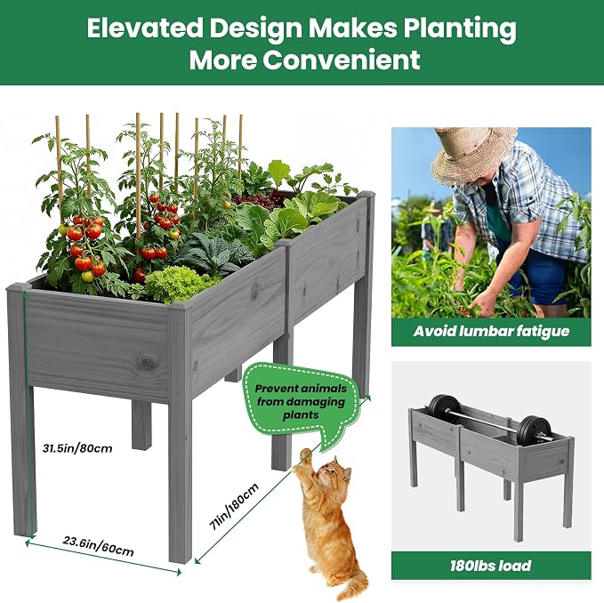 SUNYRISY Dual Wooden Raised Garden Bed Outdoor with Legs for Gardening, 71" L x 23.6" W x 31.5" H Elevated Planter Garden Box Raised Bed for Vegetable Flower Herb, Gray