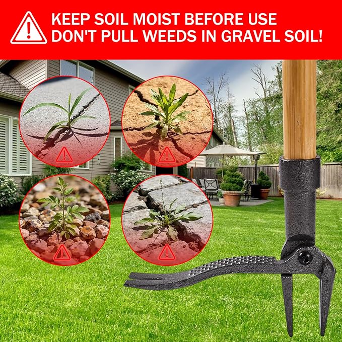 Weeder - Stand Up Weed Puller Tool Made with Long Handle - Real Bamboo & 4-Claw Steel Head, Easily Remove Weeds Without Bending, Pulling, or Kneeling.