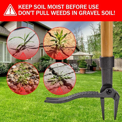 Weeder - Stand Up Weed Puller Tool Made with Long Handle - Real Bamboo & 4-Claw Steel Head, Easily Remove Weeds Without Bending, Pulling, or Kneeling.