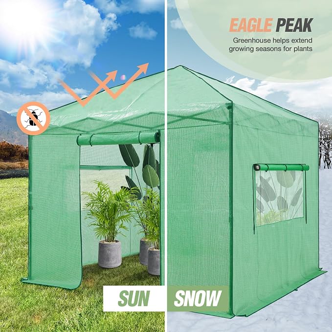 EAGLE PEAK 10x10 Portable Walk in Greenhouse, Pop Up Indoor Outdoor Greenhouse, Green House Kit with Zippered Roll-Up Doors and Windows, PE Cover, Clear/Green