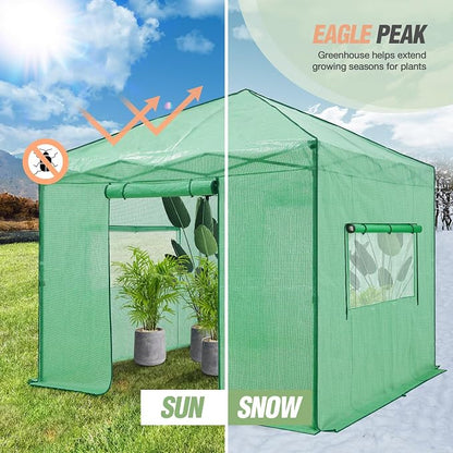 EAGLE PEAK 10x10 Portable Walk in Greenhouse, Pop Up Indoor Outdoor Greenhouse, Green House Kit with Zippered Roll-Up Doors and Windows, PE Cover, Clear/Green